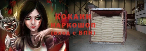 ешки Алексин