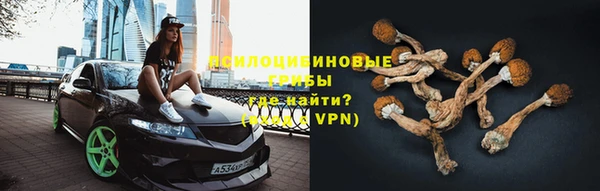 молекула духа Алексеевка