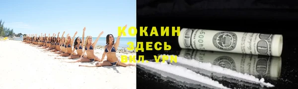 ешки Алексин