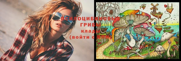 ешки Алексин