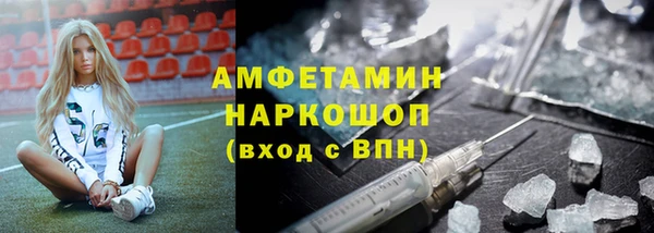 молекула духа Алексеевка
